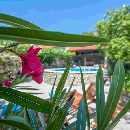 Kruzic Kuca Holiday home *